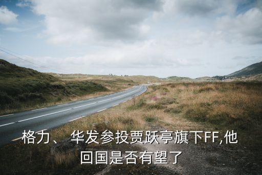 格力、 華發(fā)參投賈躍亭旗下FF,他回國是否有望了