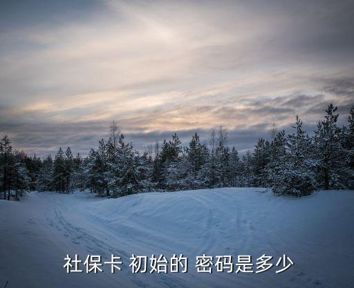  社?？?初始的 密碼是多少