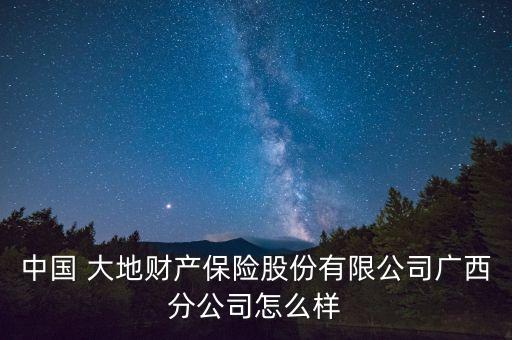 中國 大地財(cái)產(chǎn)保險股份有限公司廣西分公司怎么樣