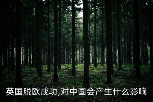 歐盟解散對(duì)中國(guó)有利