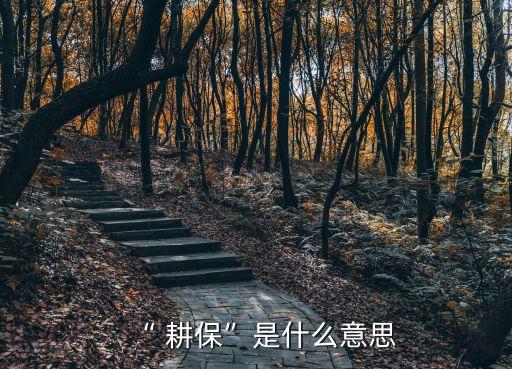 “ 耕保”是什么意思