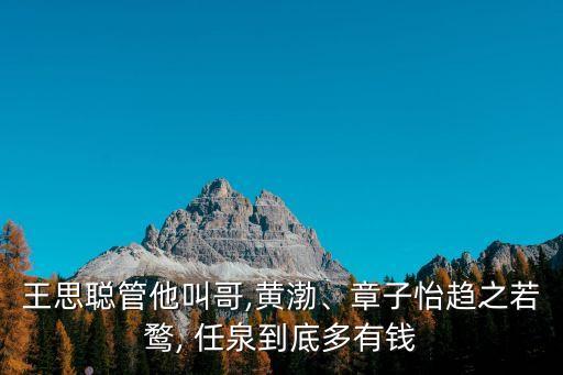 王思聰管他叫哥,黃渤、章子怡趨之若鶩, 任泉到底多有錢