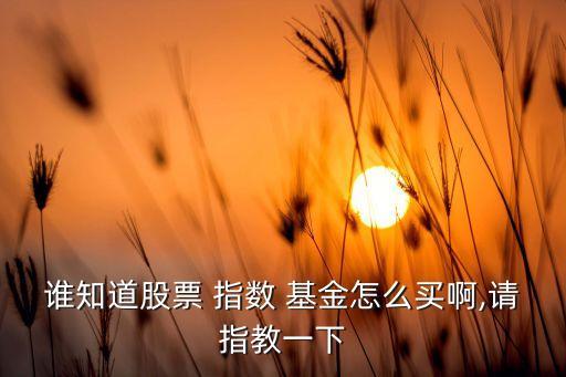 誰(shuí)知道股票 指數(shù) 基金怎么買啊,請(qǐng)指教一下