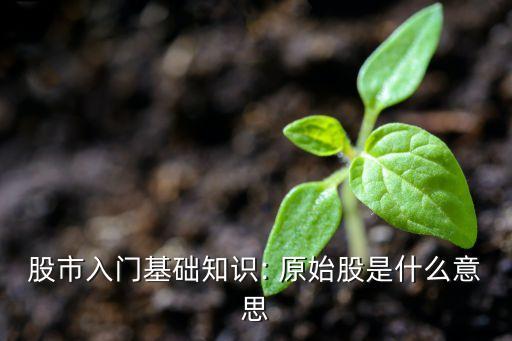 股市入門(mén)基礎(chǔ)知識(shí): 原始股是什么意思