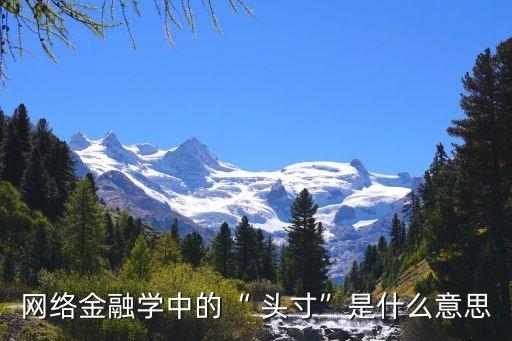 網(wǎng)絡金融學中的“ 頭寸”是什么意思