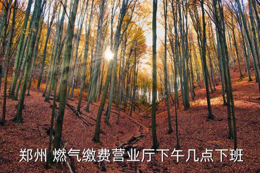鄭州格瑞克燃氣有限責(zé)任公司