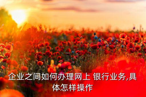 企業(yè)之間如何辦理網(wǎng)上 銀行業(yè)務,具體怎樣操作