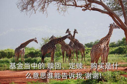  基金當(dāng)中的 贖回、定贖、購買是什么意思誰能告訴我,謝謝!