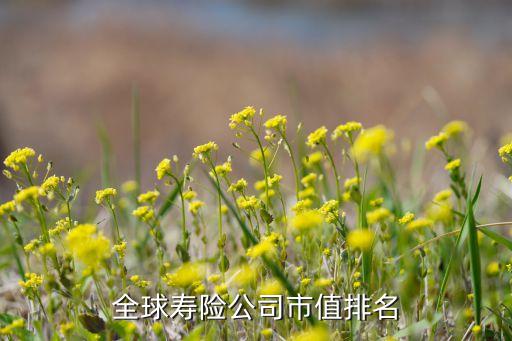 中國人壽的市場(chǎng)份額,2022年中國人壽占市場(chǎng)份額