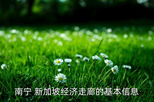 中國(guó)出口新加坡列車,新加坡地鐵東西線列車