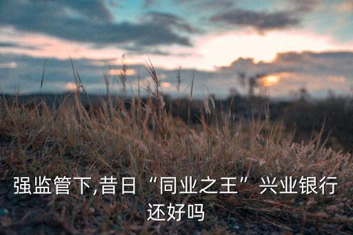 中國(guó)銀行2014年第一季度凈資產(chǎn)收益率