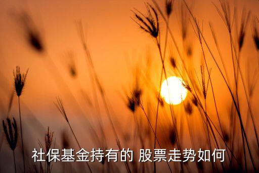 社保基金持有的 股票走勢(shì)如何