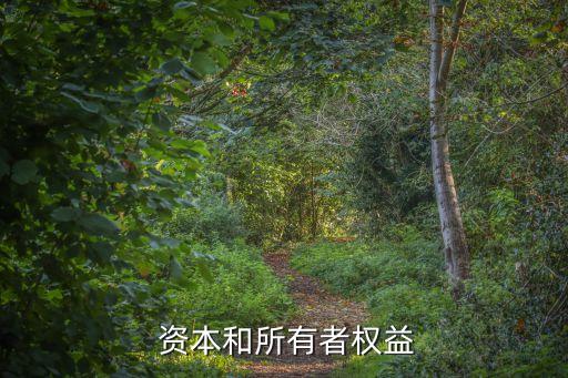  資本和所有者權益