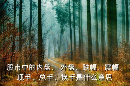 股市中的內(nèi)盤、 外盤、跌幅、震幅、現(xiàn)手、總手、換手是什么意思