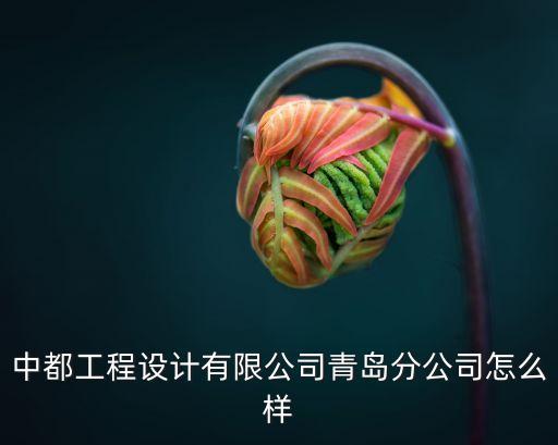 中都工程設(shè)計有限公司青島分公司怎么樣