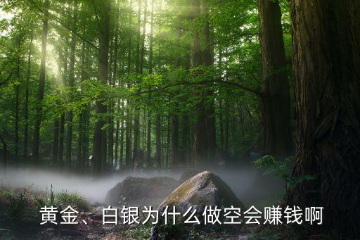  黃金、白銀為什么做空會(huì)賺錢啊