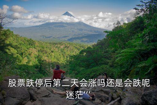  股票跌停后第二天會(huì)漲嗎還是會(huì)跌呢迷?！? class=