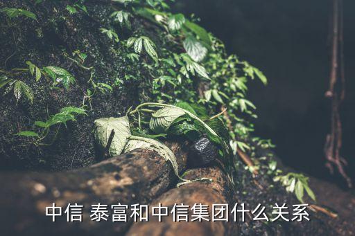 中信 泰富和中信集團什么關系