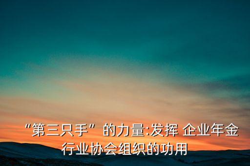 “第三只手”的力量:發(fā)揮 企業(yè)年金行業(yè)協會組織的功用