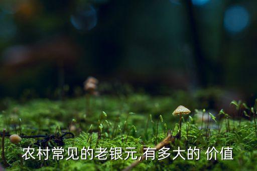 農村常見的老銀元,有多大的 價值