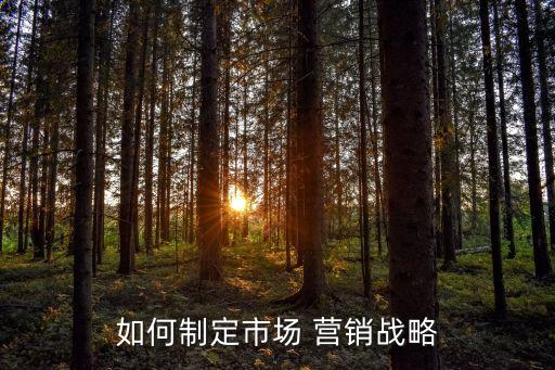 中國(guó)營(yíng)銷戰(zhàn)