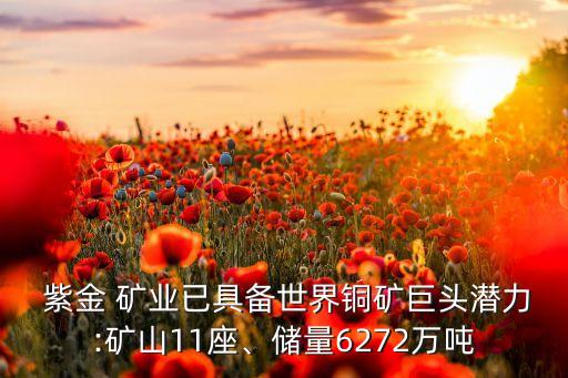  紫金 礦業(yè)已具備世界銅礦巨頭潛力:礦山11座、儲量6272萬噸