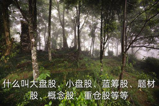 什么叫大盤股、小盤股、藍籌股、題材股、概念股、重倉股等等