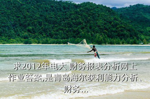 求2012年電大 財務報表分析網(wǎng)上作業(yè)答案,是青島海爾獲利能力分析、 財務...
