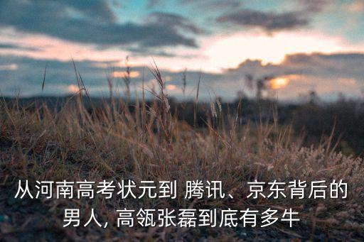 從河南高考狀元到 騰訊、京東背后的男人, 高瓴張磊到底有多牛