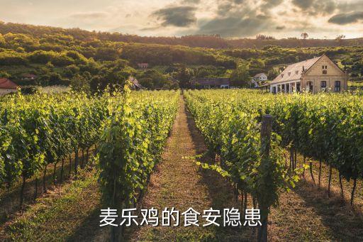 麥當(dāng)勞肯德基上海福喜,上?；疖囌居宣湲?dāng)勞或肯德基嗎