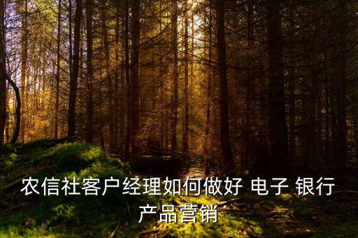 農(nóng)信社客戶經(jīng)理如何做好 電子 銀行產(chǎn)品營(yíng)銷(xiāo)