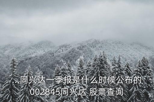...同興達一季報是什么時候公布的002845同興達 股票查詢