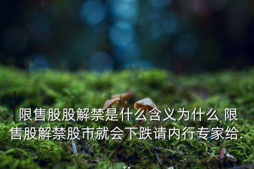 限售股股解禁是什么含義為什么 限售股解禁股市就會(huì)下跌請(qǐng)內(nèi)行專(zhuān)家給...