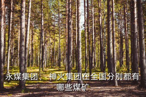 永煤集團(tuán)、 神火集團(tuán)在全國分別都有哪些煤礦