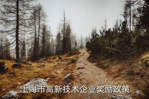 上?？苿?chuàng)中心建設(shè)22條,上海國際科創(chuàng)中心建設(shè)