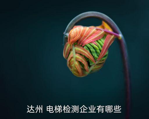 達州 電梯檢測企業(yè)有哪些