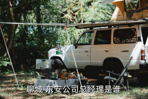 聊城 東安公司總經(jīng)理是誰(shuí)