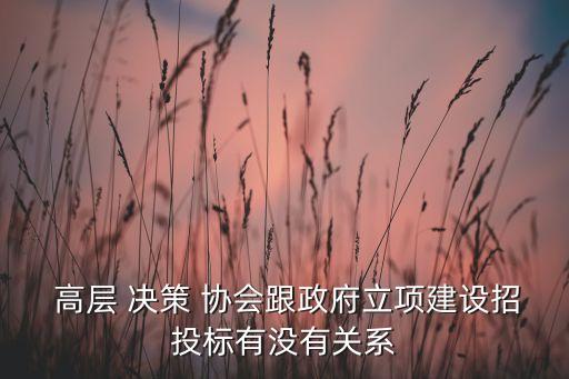  高層 決策 協會跟政府立項建設招投標有沒有關系