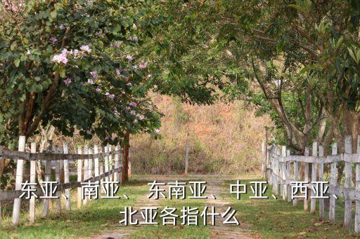 東亞、南亞、 東南亞、中亞、西亞、北亞各指什么