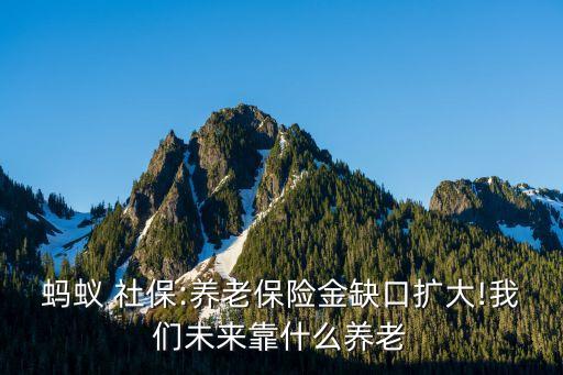 社?；痣p軌制