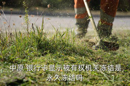  中原 銀行卡顯示被有權機關凍結(jié)是永久凍結(jié)嗎