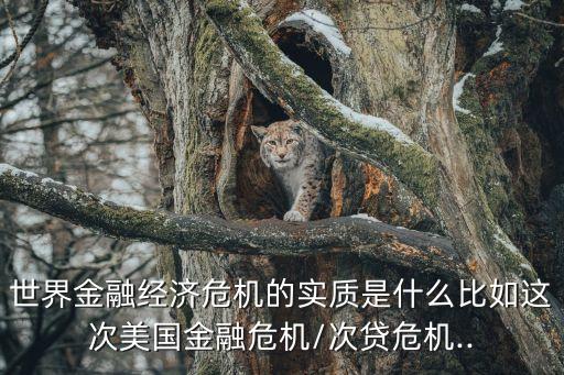 世界金融經濟危機的實質是什么比如這次美國金融危機/次貸危機..