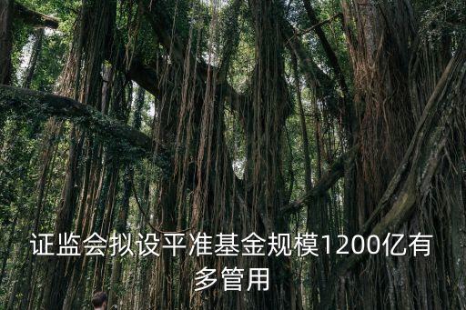 中國證監(jiān)會(huì)發(fā)布會(huì)