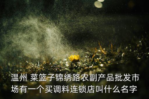 溫州菜籃子集團董事長,?？谑胁嘶@子集團董事長個人簡歷