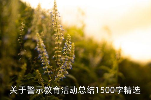 關于警示教育活動總結(jié)1500字精選