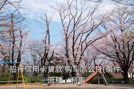 招行信用卡貸款 購(gòu)車怎么貸(條件、流程、利率