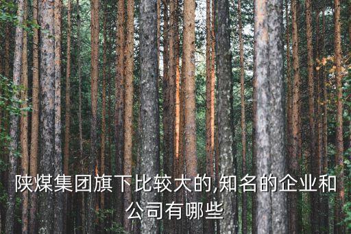 陜西彬長礦業(yè)集團有限公司煤化工分公司,2、陜西彬長礦業(yè)集團有限公司