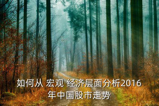 如何從 宏觀 經(jīng)濟(jì)層面分析2016年中國股市走勢