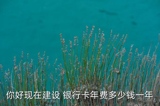 你好現(xiàn)在建設 銀行卡年費多少錢一年