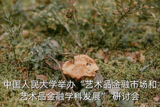 中國人民大學舉辦“藝術(shù)品金融市場和藝術(shù)品金融學科發(fā)展” 研討會